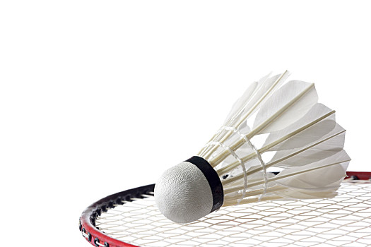 为全联盟最 为全联盟最