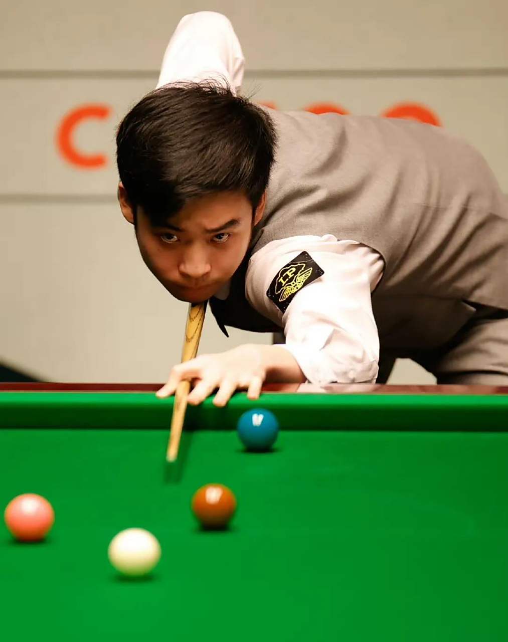 生态中树立 生态中树立