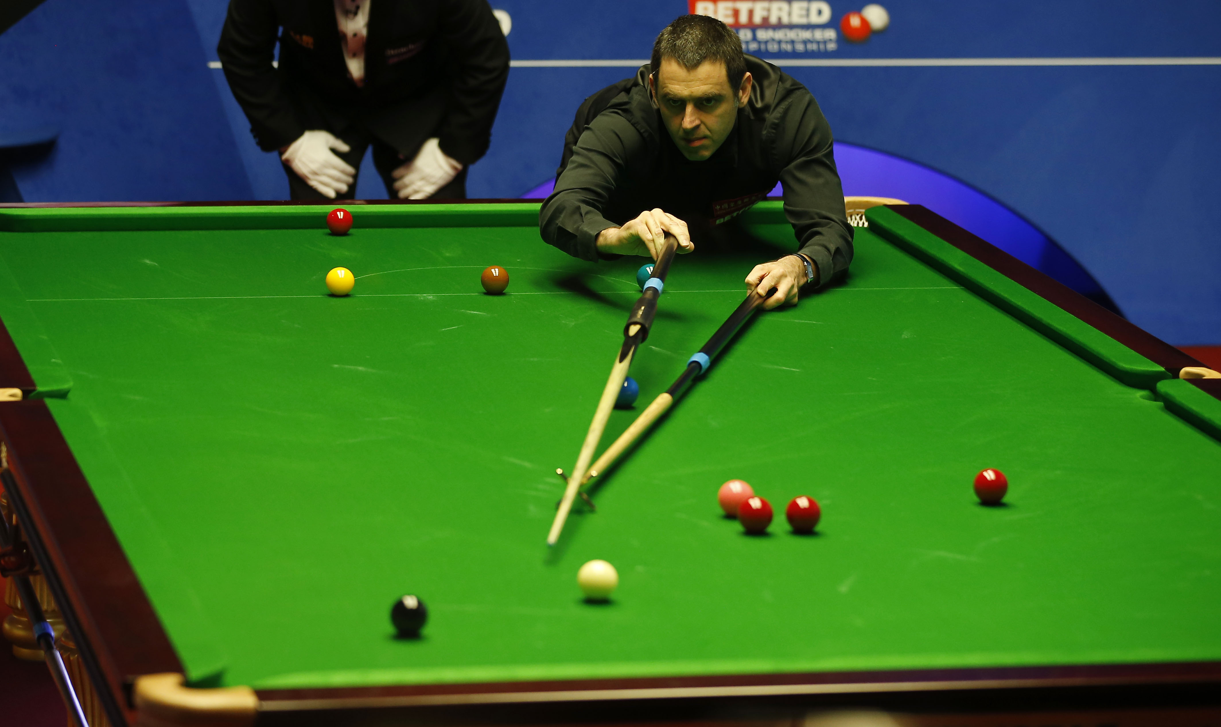 体能储备 体能储备